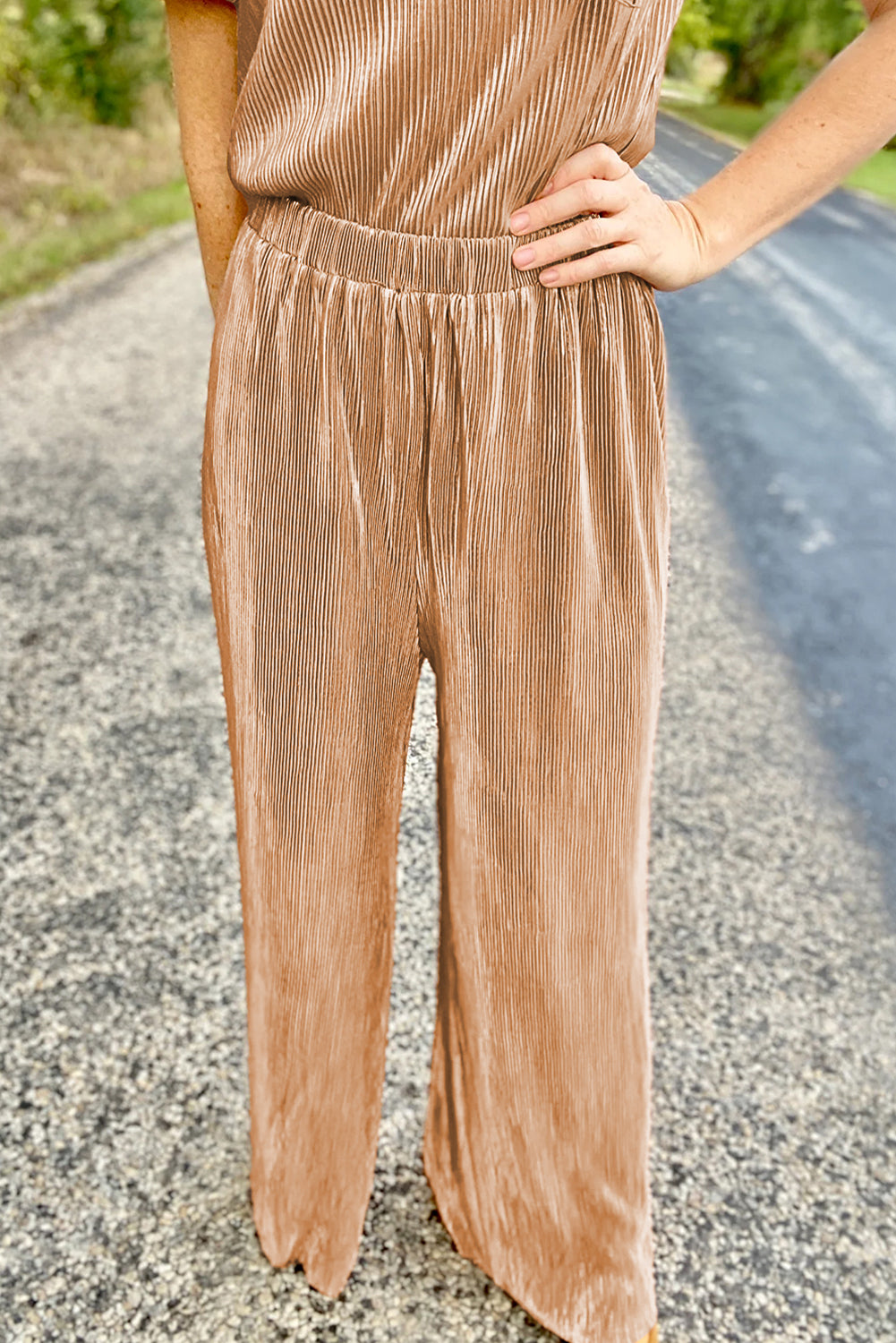 Clay Pleated Bubble Sleeve Top and Wide Leg Pants Set Pant Sets JT's Designer Fashion