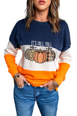 Blue Cute Pumkin Print Fall Vibe Color Block Sweatshirt Graphic Sweatshirts JT's Designer Fashion