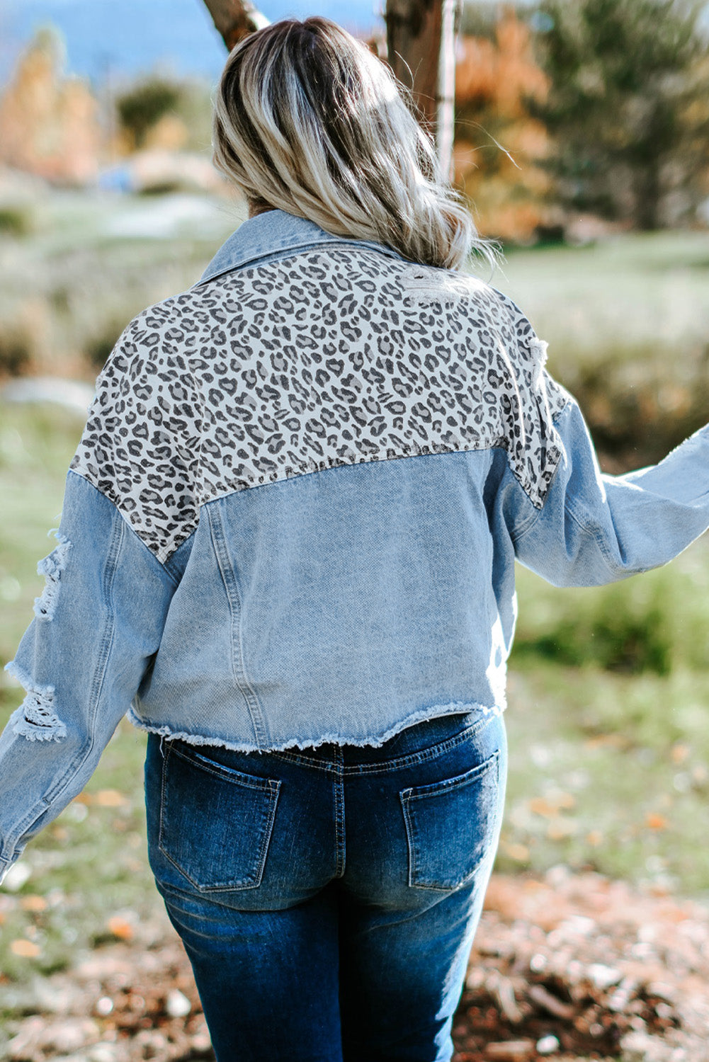 Blue Plus Size Leopard Ripped Cropped Denim Jacket Plus Size Tops JT's Designer Fashion