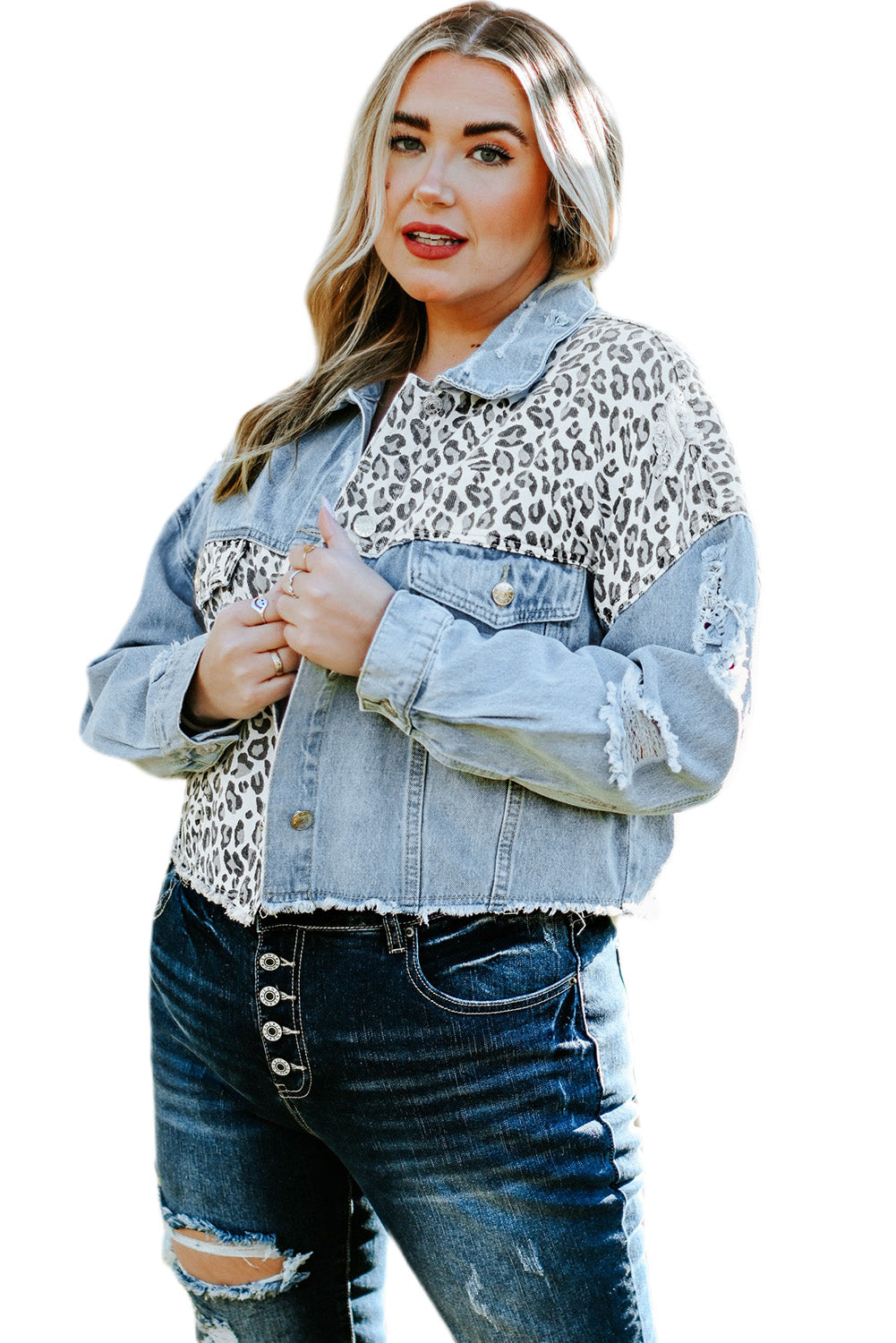 Blue Plus Size Leopard Ripped Cropped Denim Jacket Plus Size Tops JT's Designer Fashion