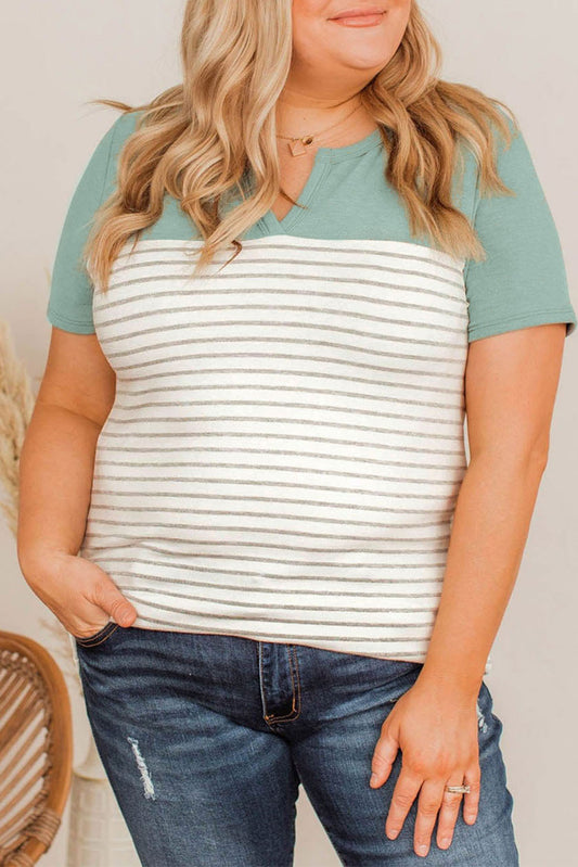 Green Contrast Striped Plus Size Short Sleeve Tee Plus Size Tops JT's Designer Fashion