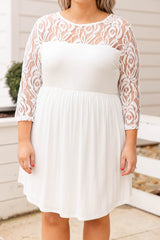 White Plus Size Lace Mesh Splice Babydoll Dress Plus Size Dresses JT's Designer Fashion