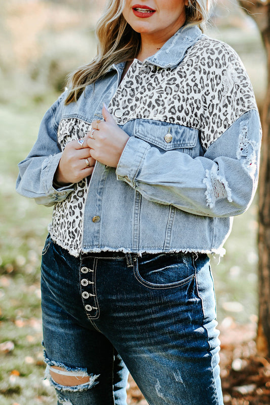 Blue Plus Size Leopard Ripped Cropped Denim Jacket Plus Size Tops JT's Designer Fashion