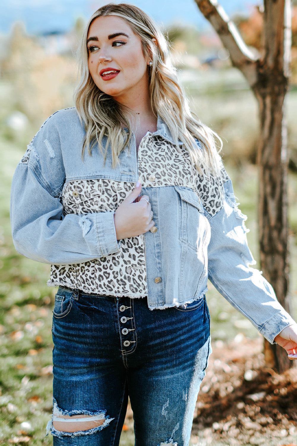 Blue Plus Size Leopard Ripped Cropped Denim Jacket Plus Size Tops JT's Designer Fashion