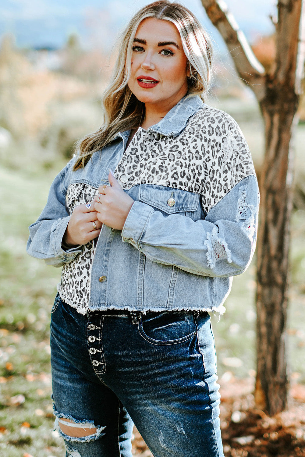 Blue Plus Size Leopard Ripped Cropped Denim Jacket Plus Size Tops JT's Designer Fashion