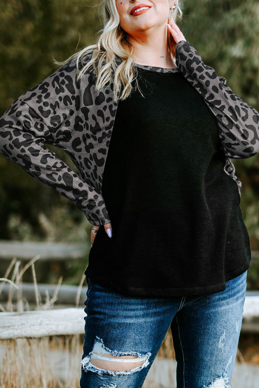 Black Leopard Raglan Sleeve Waffle Knit Plus Size Top Plus Size Tops JT's Designer Fashion